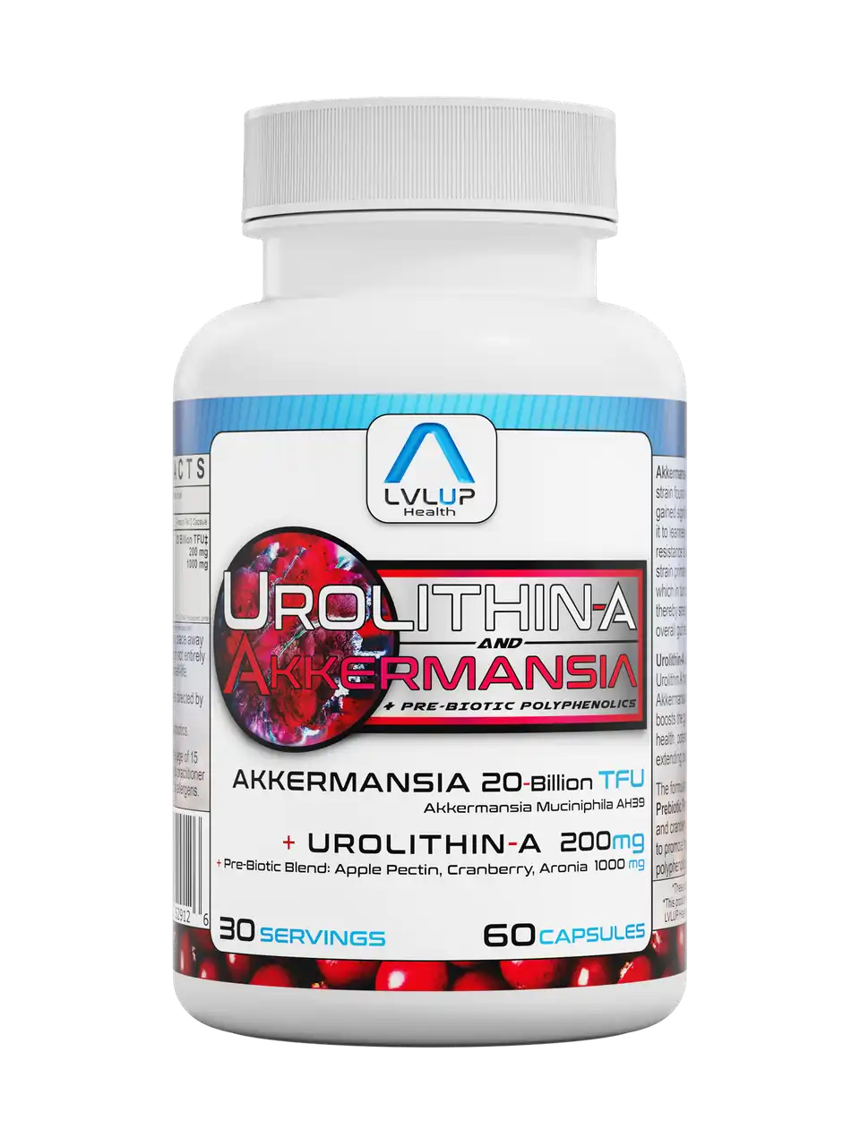 Urolithin + Akkermansia 