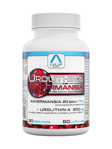 Urolithin + Akkermansia 