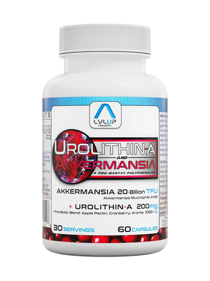 Urolithin A + Akkermansia