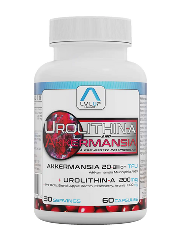 Urolithin + Akkermansia 