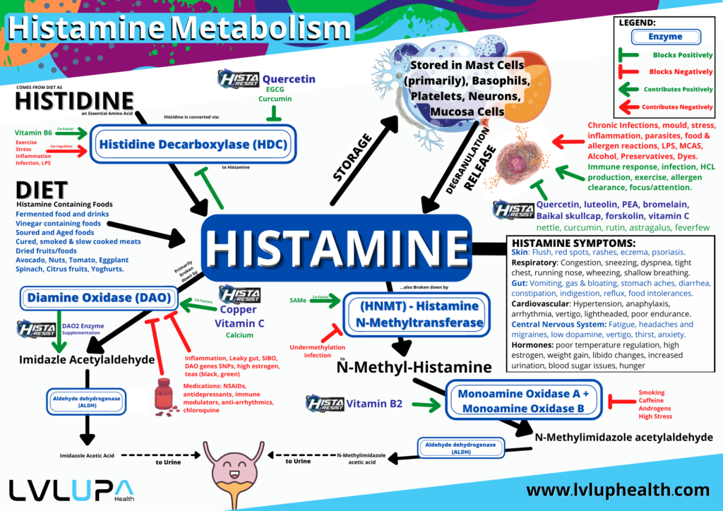 HistaResist - All Natural Anti-Histamine | MCAS | Allergy Relief ...