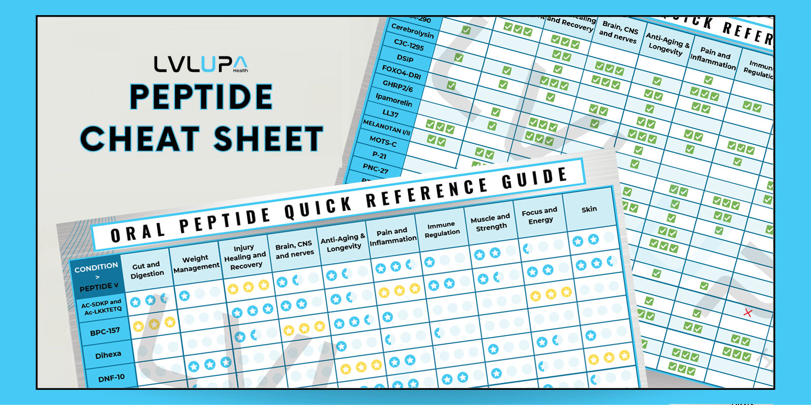 Peptide Cheat Sheet – LVLUP Health